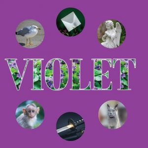 VIOLET ANTHOLOGY - IN PRODUCTION